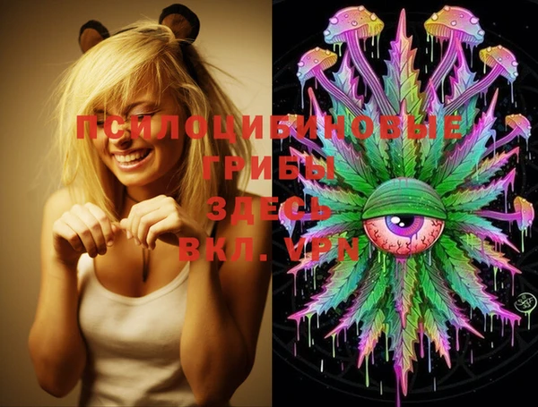 MESCALINE Алзамай
