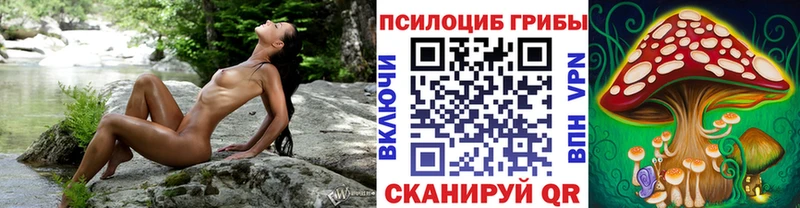 Галлюциногенные грибы Psilocybe  Лодейное Поле 